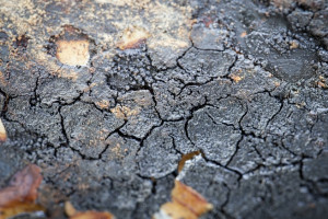 Бастрыкин поручил завести уголовное дело из-за бездорожья во Владимирской области