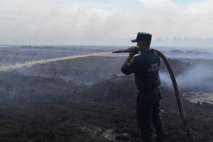 Во Владимирской области обнаружили 6 новых очагов лесных пожаров