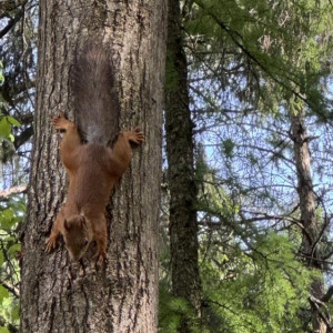 Прогноз погоды во Владимирской области на 7 сентября 2025 года