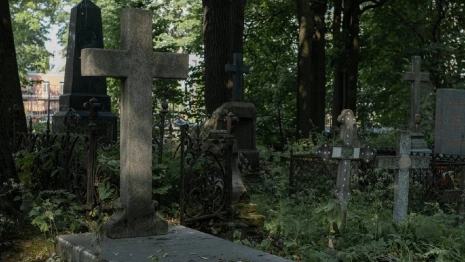 Смертность во Владимирской области втрое превысила рождаемость