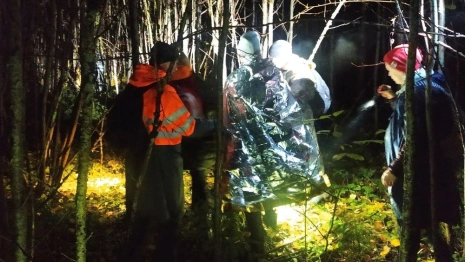 Один ночью под проливным дождем. Как искали 71-летнего дедушку в лесу под Юрьев-Польским