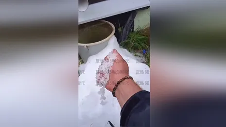 Во Владимирской области выпал первый снег: появилось видео
