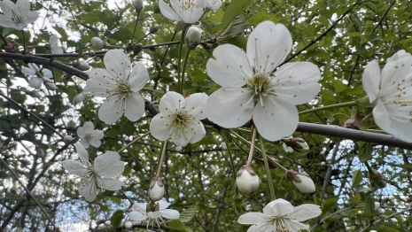 Прогноз погоды во Владимирской области на 2 июня