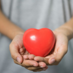 Ученые из Владимира запатентовали конструкцию системы вспомогательного кровообращения