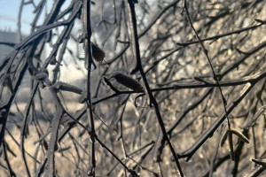 В выходные во Владимирской области похолодает до -23 градусов