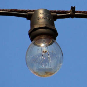 Непогода оставила без света 8 районов Владимирской области