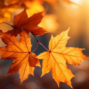 Прогноз погоды во Владимирской области 6 сентября