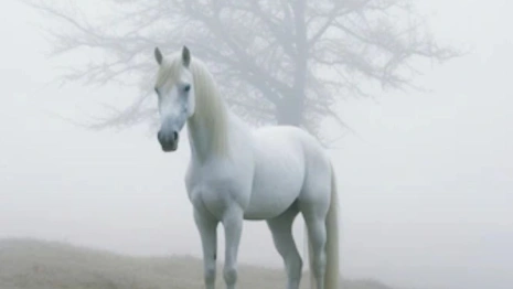 Евпатий Коловрат: что можно и нельзя делать 24 августа