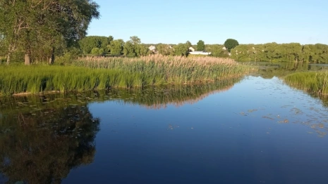 Во Владимире официально закрыли купальный сезон
