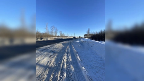 В Петушинском районе пожаловались на плохую уборку трассы М-7
