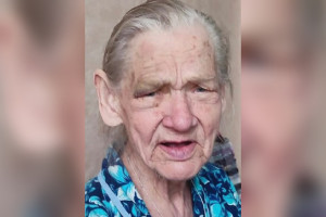В соседнем с Владимирской областью регионе пропала 85-летняя бабушка