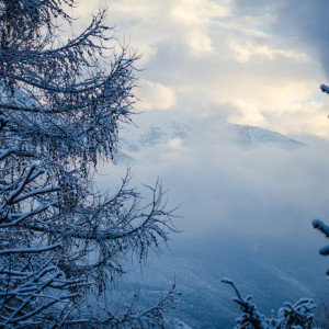 Прогноз погоды во Владимире и области на 22 февраля