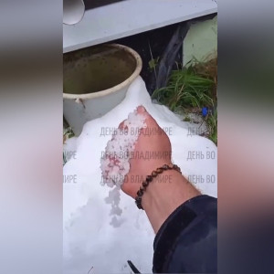 Во Владимирской области выпал первый снег: появилось видео