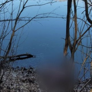 
В Муроме утонул 16-летний подросток