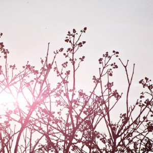 Прогноз погоды во Владимирской области на 3 марта 