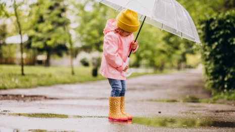 Во Владимирской области в выходные будет лить дождь