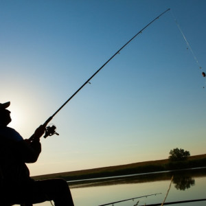 Во Владимирской области ввели ограничения на рыбалку