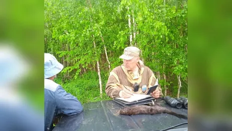 Во Владимирской области охотник убил краснокнижную европейскую норку