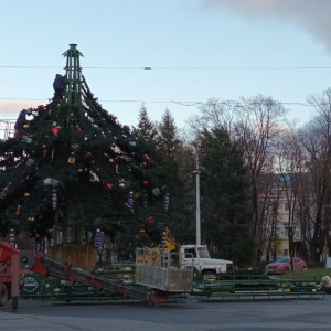 Во Владимире на Соборной площади начали собирать новогоднюю ель
