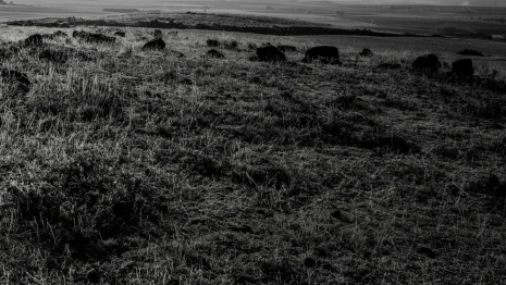 Пропавшего в Муроме мужчину в черной куртке нашли мертвым