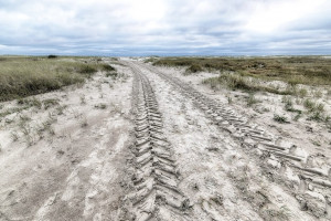 Семья из Киржача обратилась к Путину из-за выданного на бездорожье участка