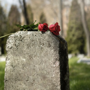 В Юрьев-Польском районе устроили свалки на двух кладбищах