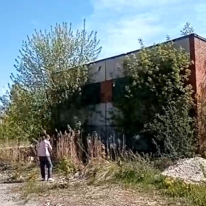 «Валента» показала на видео новое место для приюта во Владимире