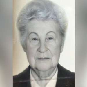 Жителей Владимирской области позвали на поиски 85-летней бабушки с зеленым ведром