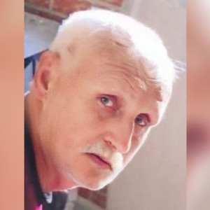 В СНТ в Гусь-Хрустальном пропал 67-летний мужчина