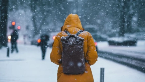 Жителей Владимирской области предупредили о затяжном аномальном морозе