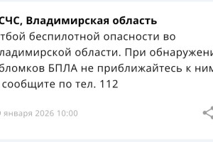 Владимирцам запретили приближаться к обломкам БПЛА после угрозы атаки 19 января