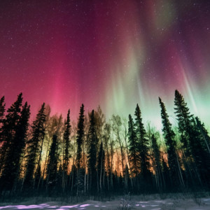 Над Владимирской областью может вновь появится полярное сияние