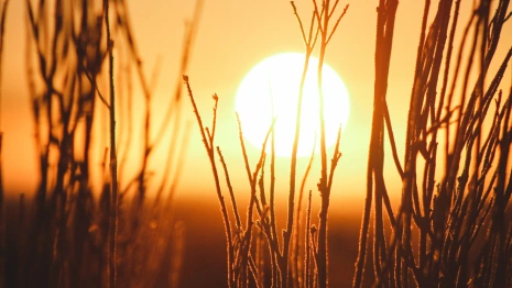 Ярилин день: что можно и нельзя делать 1 марта