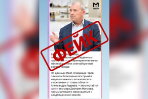 Белый дом раскрыл подробности госпитализации и. о. мэра Владимира