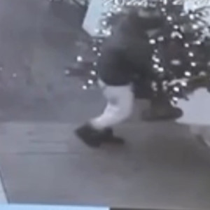 Пьяный житель Владимира утащил с веранды кафе украшенную пихту