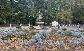 Во Владимире два главных парка обработают от клещей