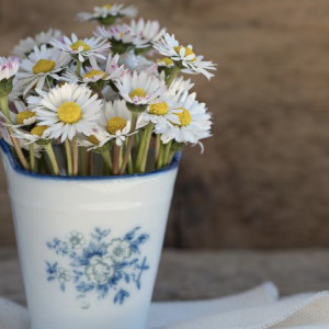 День Евдокии Свистуньи: что можно и чего нельзя делать 14 марта