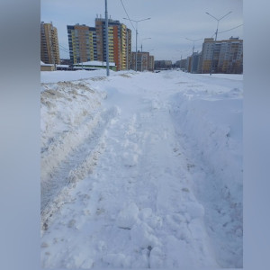 Во Владимире оставшиеся без дороги жители предложили запустить челлендж 