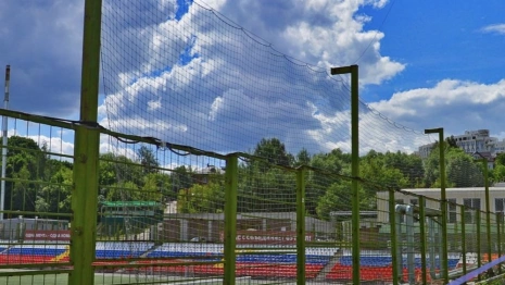 Во Владимире около стадиона «Торпедо» начали вырубать деревья