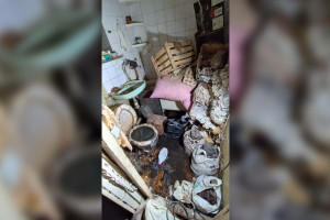 Появились фото затопленной экскрементами квартиры во Владимире