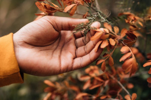 Прогноз погоды во Владимире и области на 6 сентября