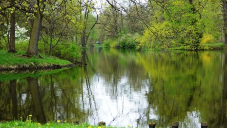 Мэра Владимира попросили сохранить противотанковый ров времен Великой Отечественной войны