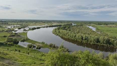 Во Владимирской области летом будут открыты 38 пляжей для купания