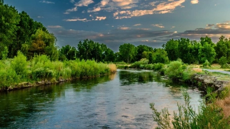 Синоптики дали прогноз на лето во Владимирской области