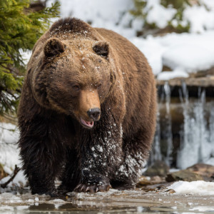 Антип Водогон: что можно и нельзя делать 24 апреля