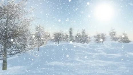 Жителей Владимирской области предупредили о сильном снеге и заносах