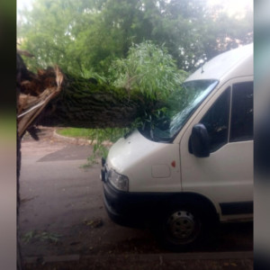 Во Владимире прошедший ураган с дождем повалил деревья и затопил улицы