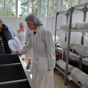 Во Владимирской области у 39 поставщиков питания в детские лагеря нашли нарушения