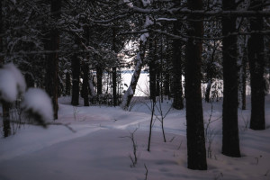 Пропавшего во Владимирской области 28-летнего мужчину в серой шапке нашли мертвым