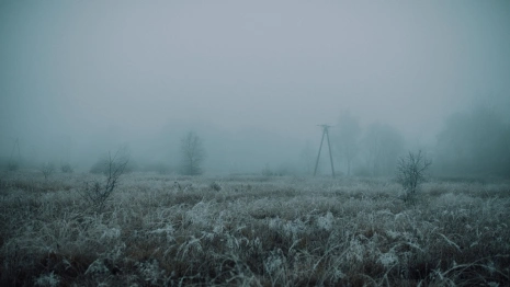 Во Владимирскую область придут ночные заморозки